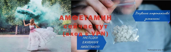 шишки Богородицк